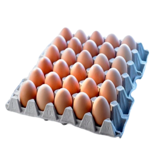 Brown Egg Tray