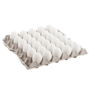 White Egg Tray