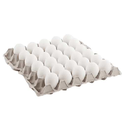 White Egg Tray